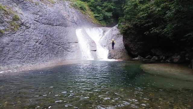 ナメが復活する